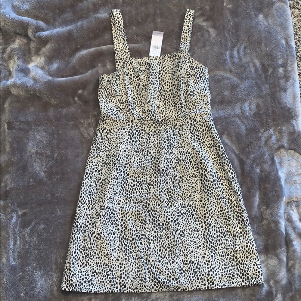 American Eagle leopard print mini dress